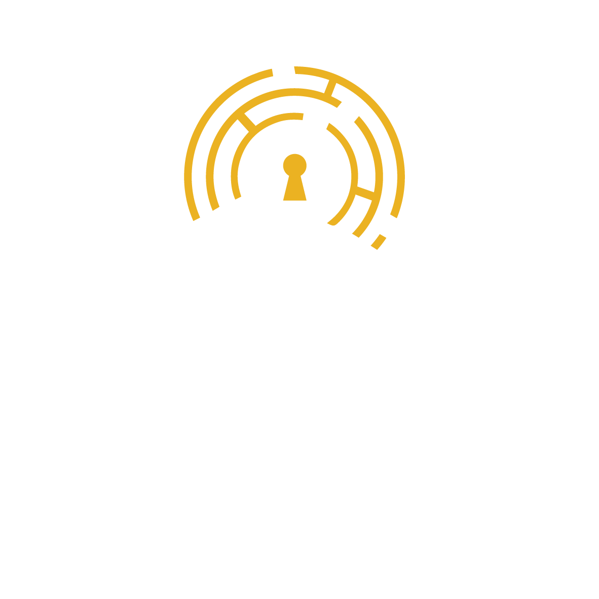 SecretMissionSociety